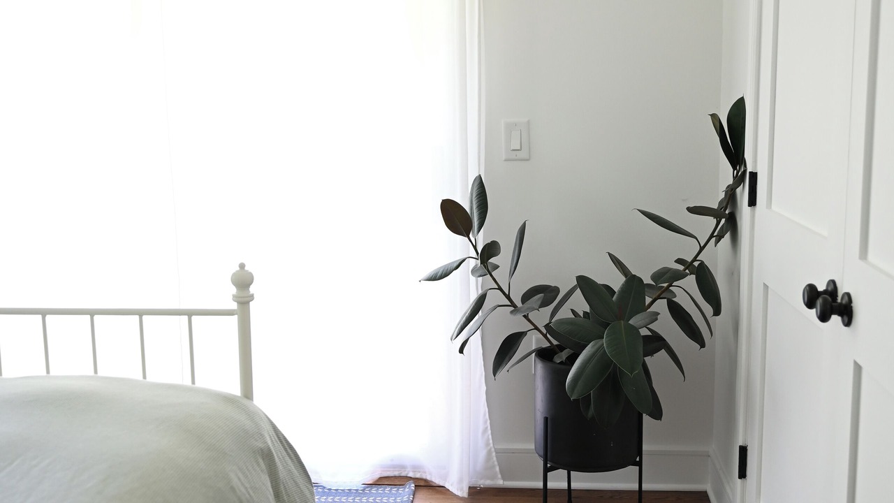 Photo of Bedroom in West Ashley