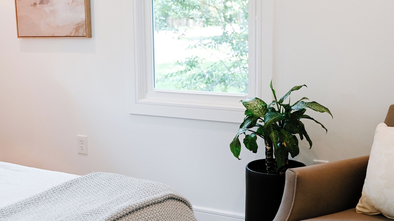 Photo of Bedroom in West Ashley