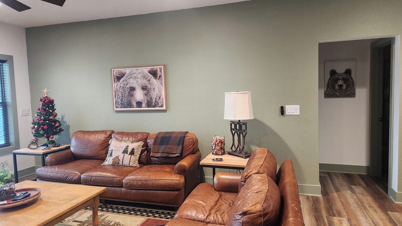 Photo of Livingroom in Hiawassee