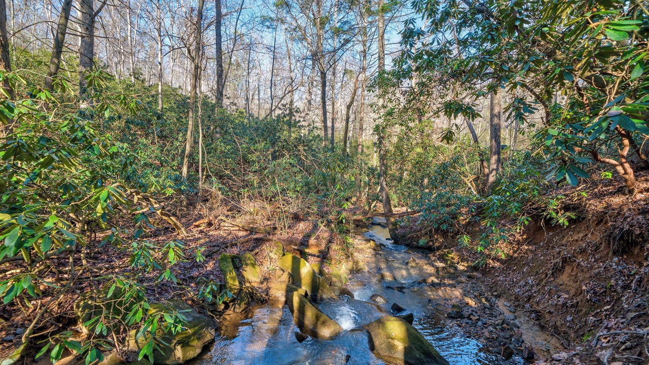 Photo of Others in Blue Ridge
