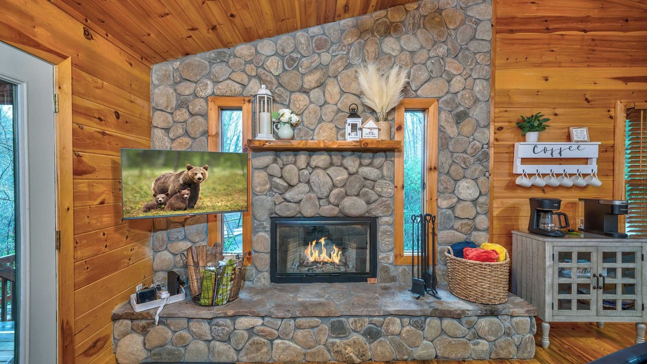 Photo of Livingroom in Blue Ridge