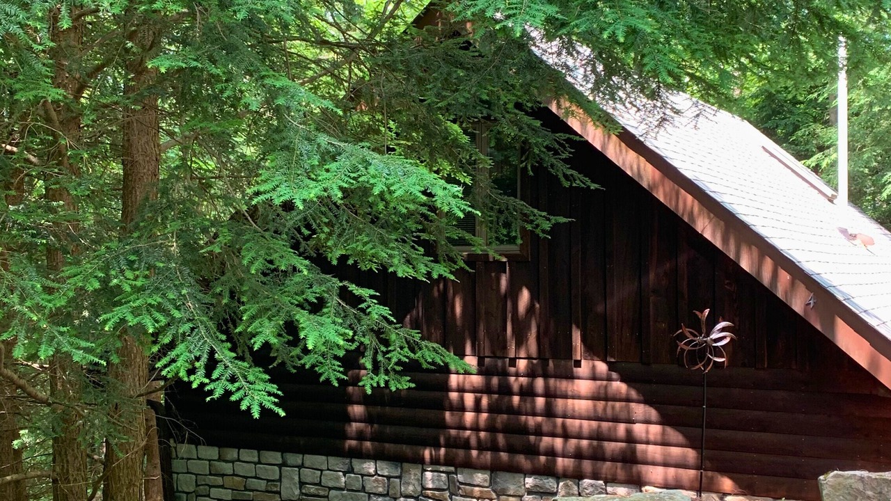 Photo of Outdoor in Lansing