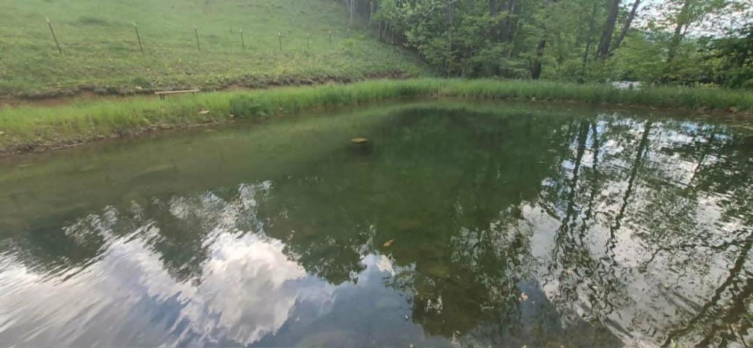 Photo of Others in Roan Mountain