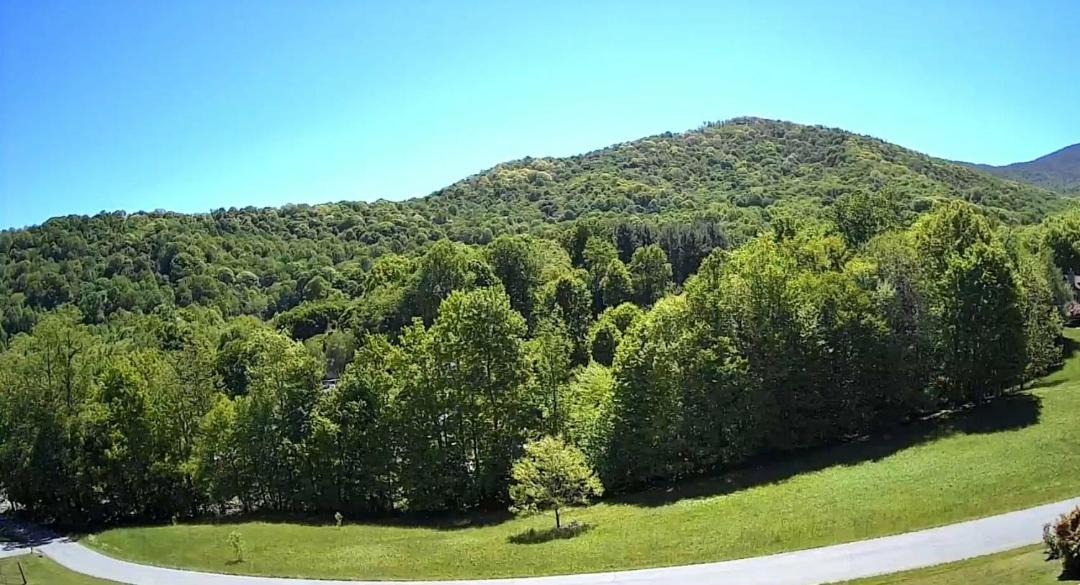 Photo of Outdoor in Roan Mountain