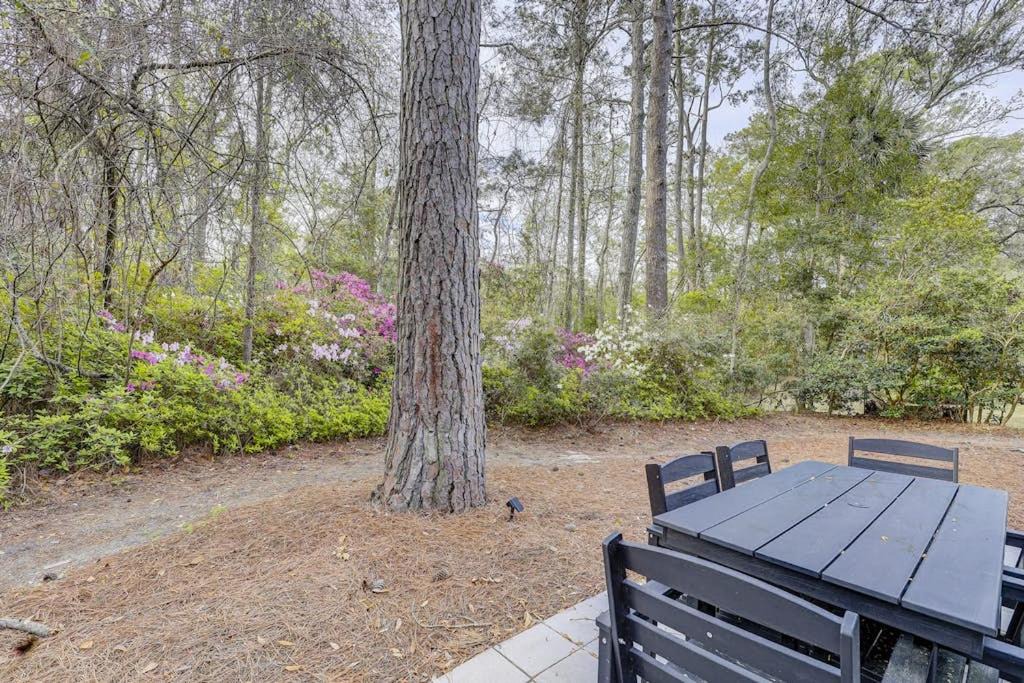 Photo of Others in Sea Pines