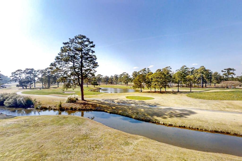Photo of Others in Central Myrtle Beach