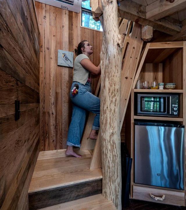 Photo of Others in Zirconia