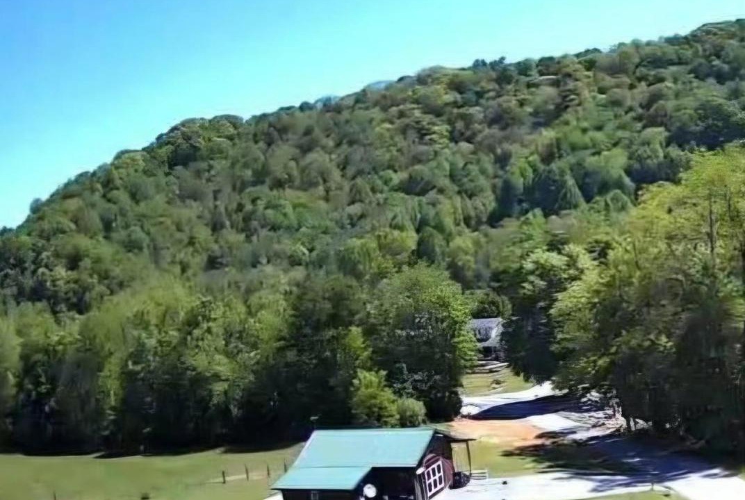 Photo of Others in Roan Mountain