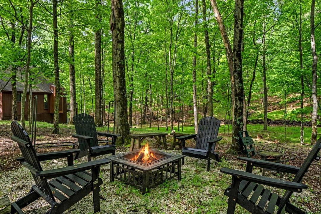 Photo of Others in The Woods