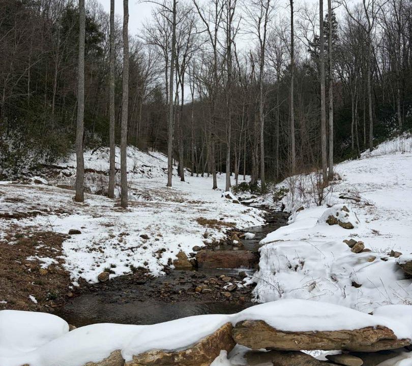 Photo of Others in Flat Rock