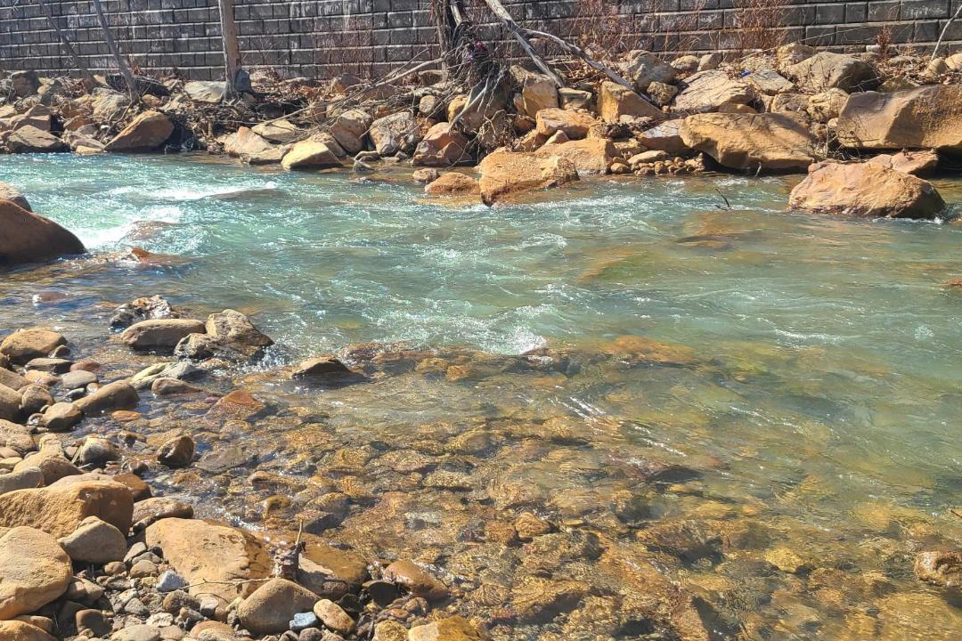 Photo of Others in Westernport