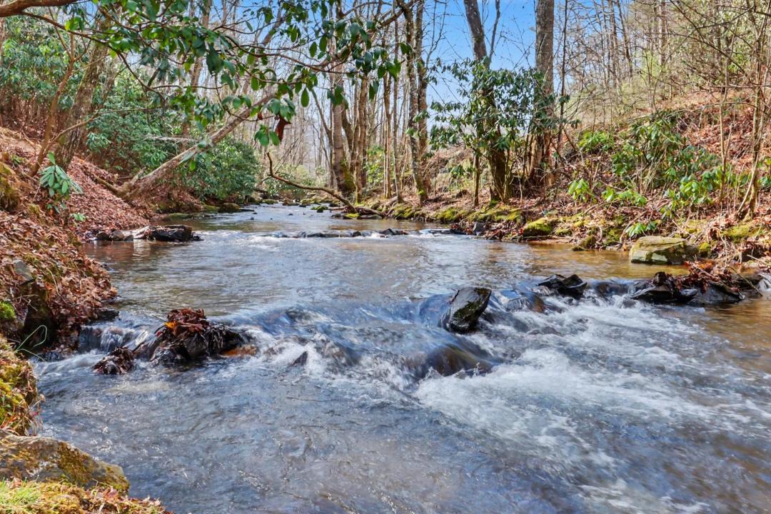 Photo of Others in Hiawassee