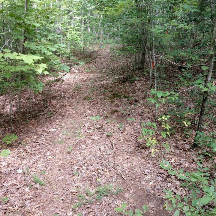 Photo of Others in Graysville