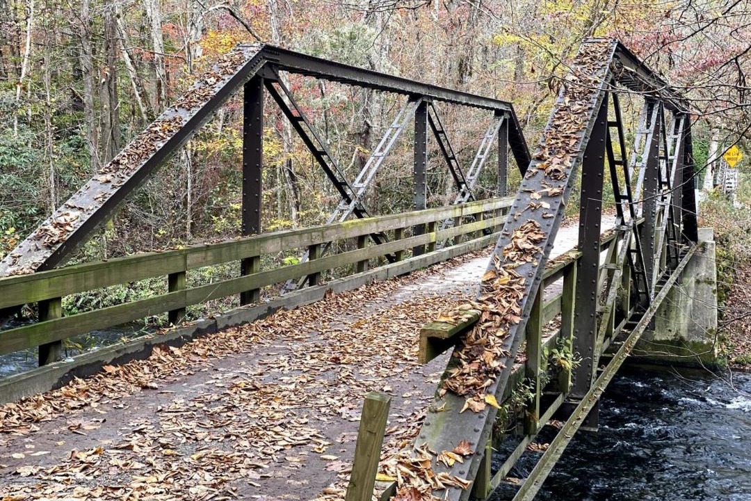 Photo of Others in Nantahala