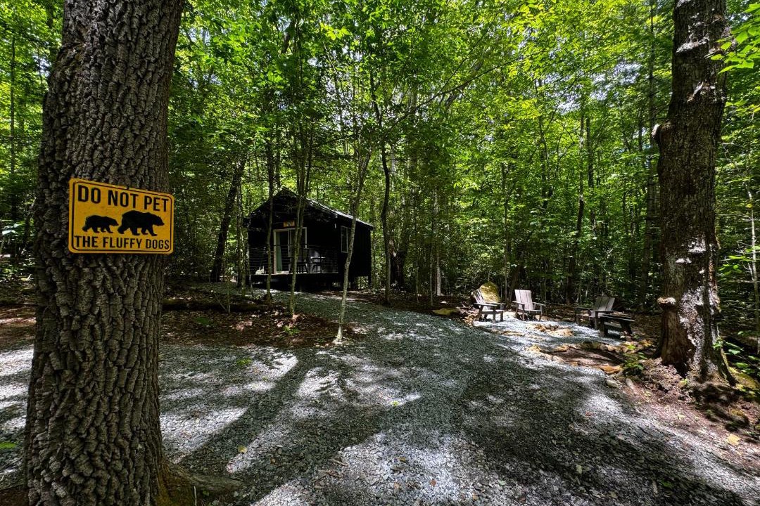 Photo of Others in Balsam Grove
