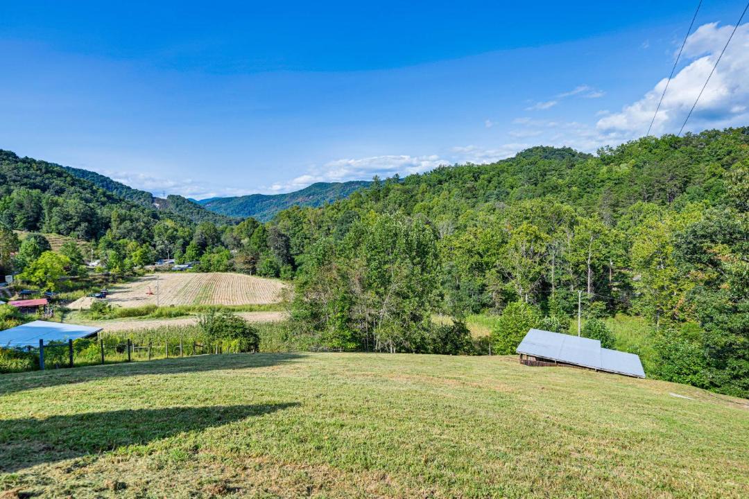 Photo of Others in Tuckasegee