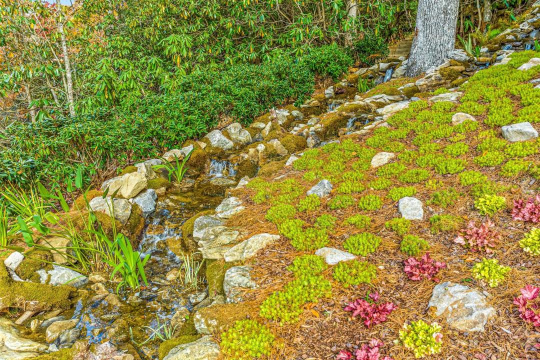 Photo of Others in Sapphire