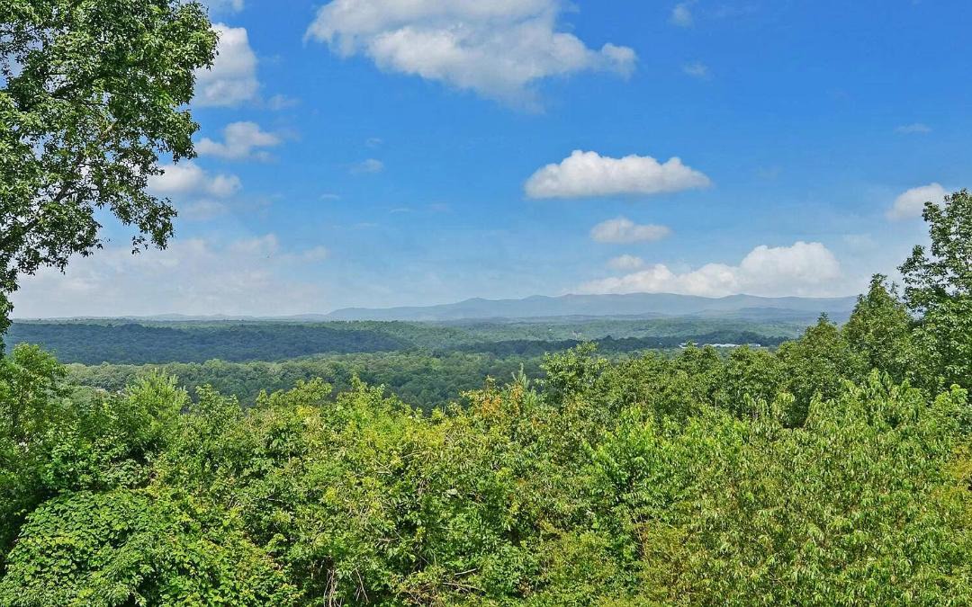Photo of Others in East Ellijay