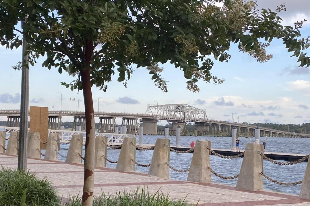 Photo of Others in Beaufort