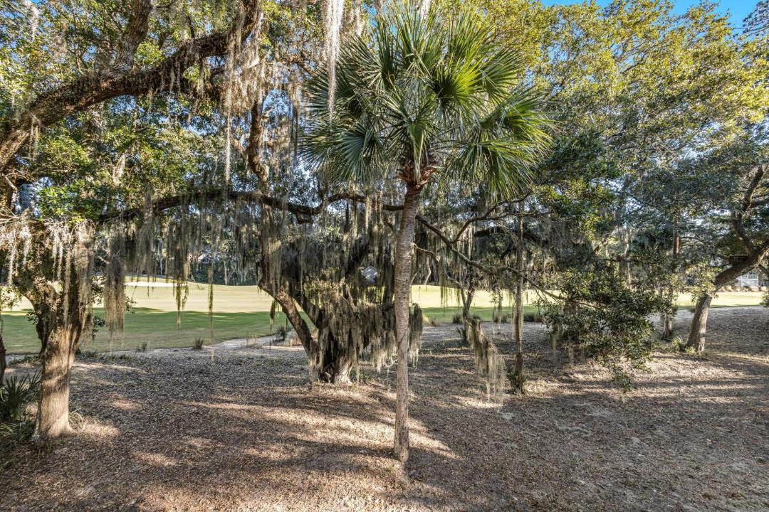 Photo of Others in Seabrook Island