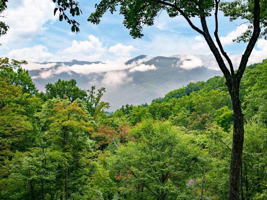 Photo of Others in Sylva