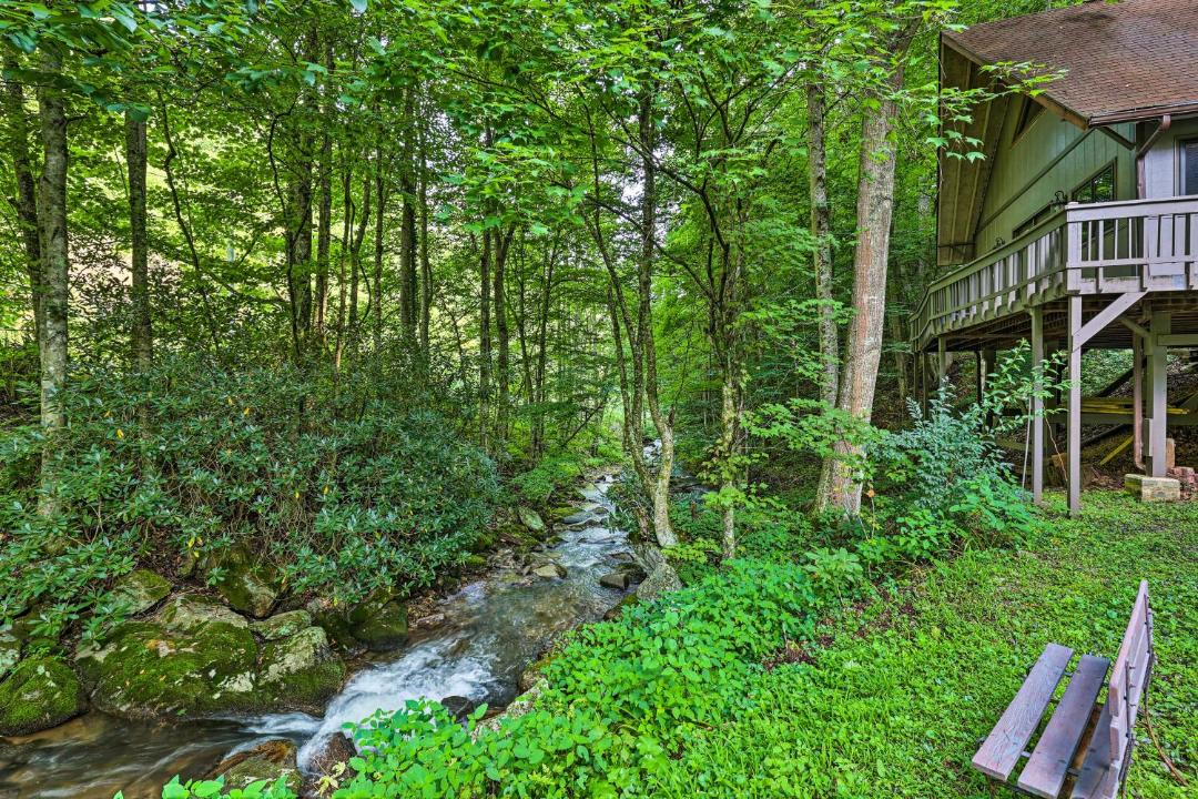 Photo of Others in Roan Mountain