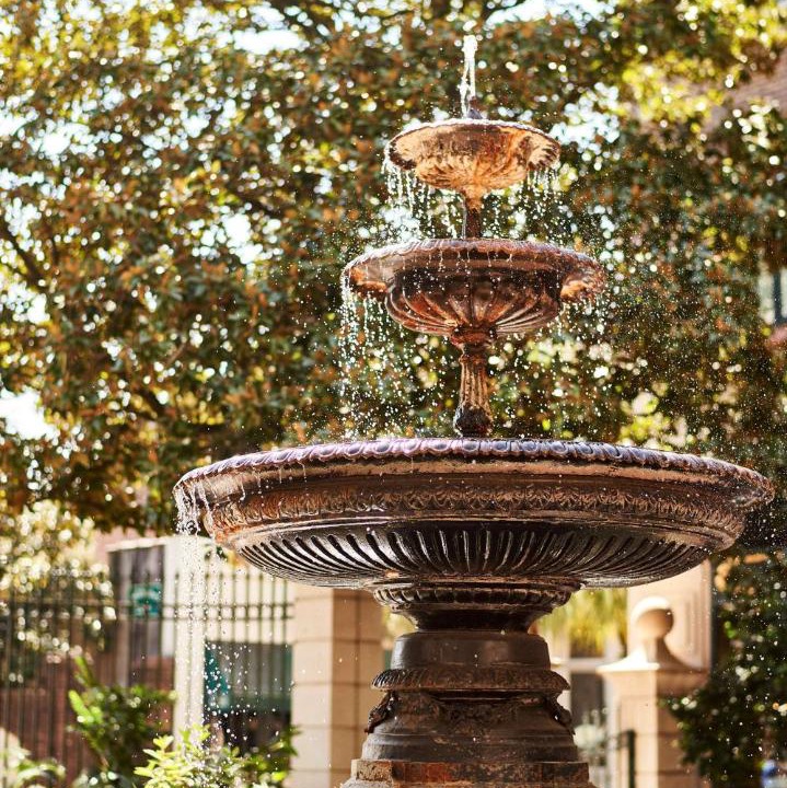 Photo of Others in Charleston Historic District