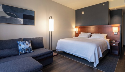 Room, 1 King Bed with Sofa bed
