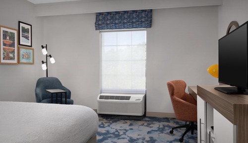 Room, 1 King Bed, Accessible, Non Smoking (Rollin Shower)