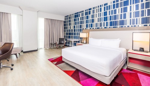 Room, 1 King Bed (Mobility/Hearing Accessible, Tub)