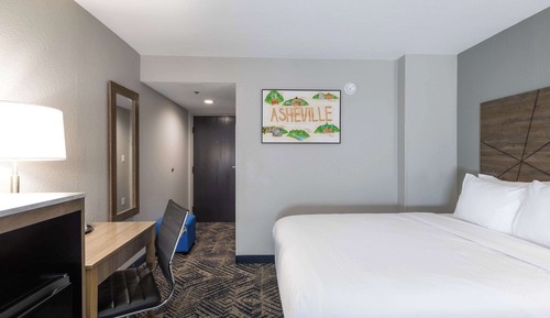 Room, 1 King Bed, Accessible, Non Smoking