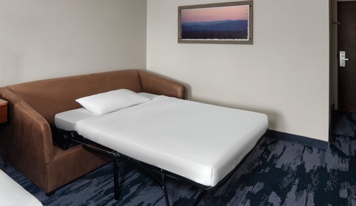 Suite, 1 King Bed with Sofa bed