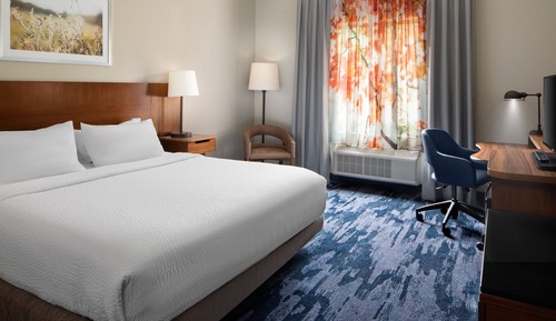 Room, 1 King Bed