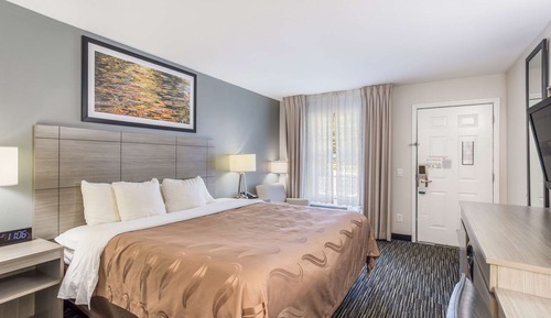 Standard Room, 1 King Bed, Non Smoking