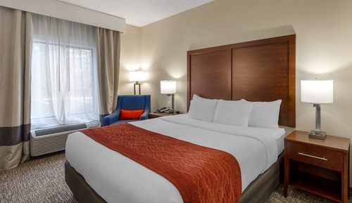 Room, 1 King Bed, Non Smoking, (Whirlpool or Jacuzzi)