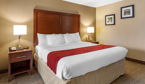 Business Suite, 1 King Bed