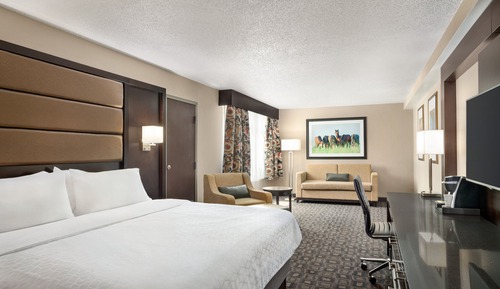 Suite, 1 King Bed