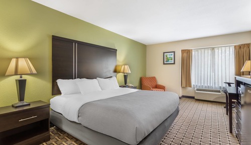 Room, 1 King Bed, Accessible, Smoking