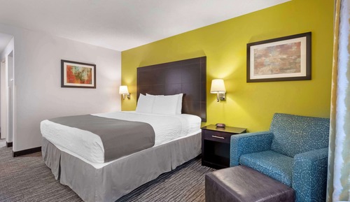 Standard Room, 1 King Bed, Accessible, Refrigerator & Microwave