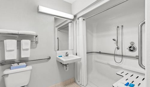 Queen Suite Handicapped with  Roll-In Shower and Sofabed - Non-Smoking