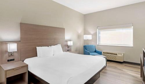 King Room with Roll-In Shower - Mobility Accessible