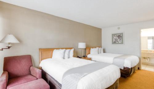 Double Room with Two Double Beds