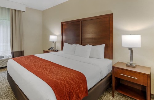 Canton Hotel | Comfort Inn & Suites Canton Riverstone Area