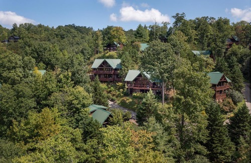 Black Bear Falls House | Another Day in Bearadise