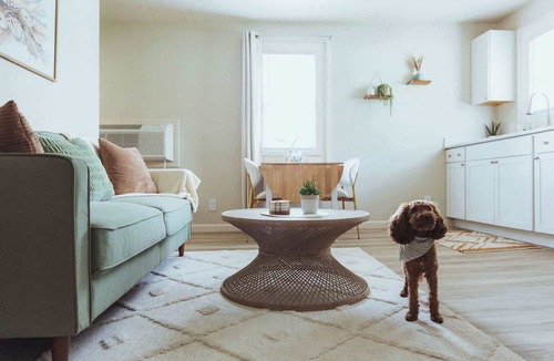 Johnson City Apartment | Lamont 6 1Bed Pet-Friendly Apt