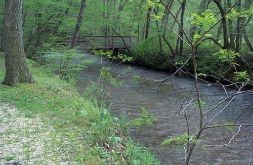 Blairsville Cabin | Holly Cabin on Town Creek, in the NE Mountains of Blairsvillen2 WEEKS MAX STAY!