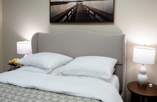 Greenville Downtown Apartment | Luxe Downtown 3BR w/Balcony Sleeps 6 N. Main St.