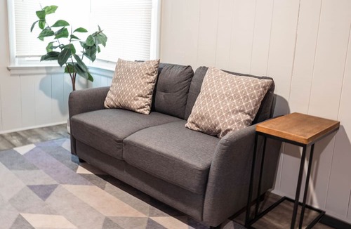 Johnson City Apartment | Minimalist Style Home in Downtown JC - TF #12