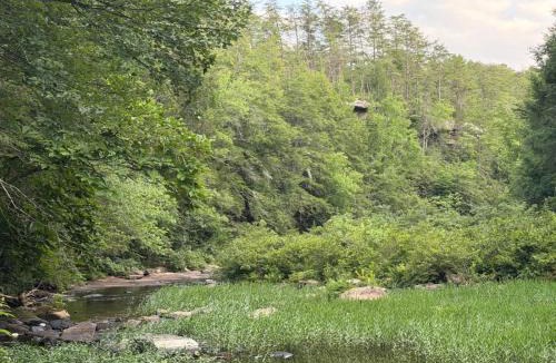 Crossville House | Stagecoach Saloon Riverside cabin with stone pizza oven