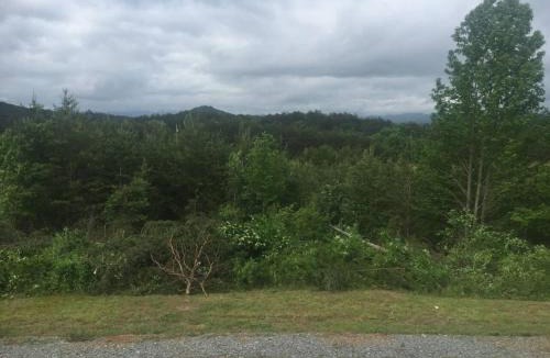 Copperhill House | 2BR/1BA Cabin | Hot Tub | Ocoee River Area | Wifi